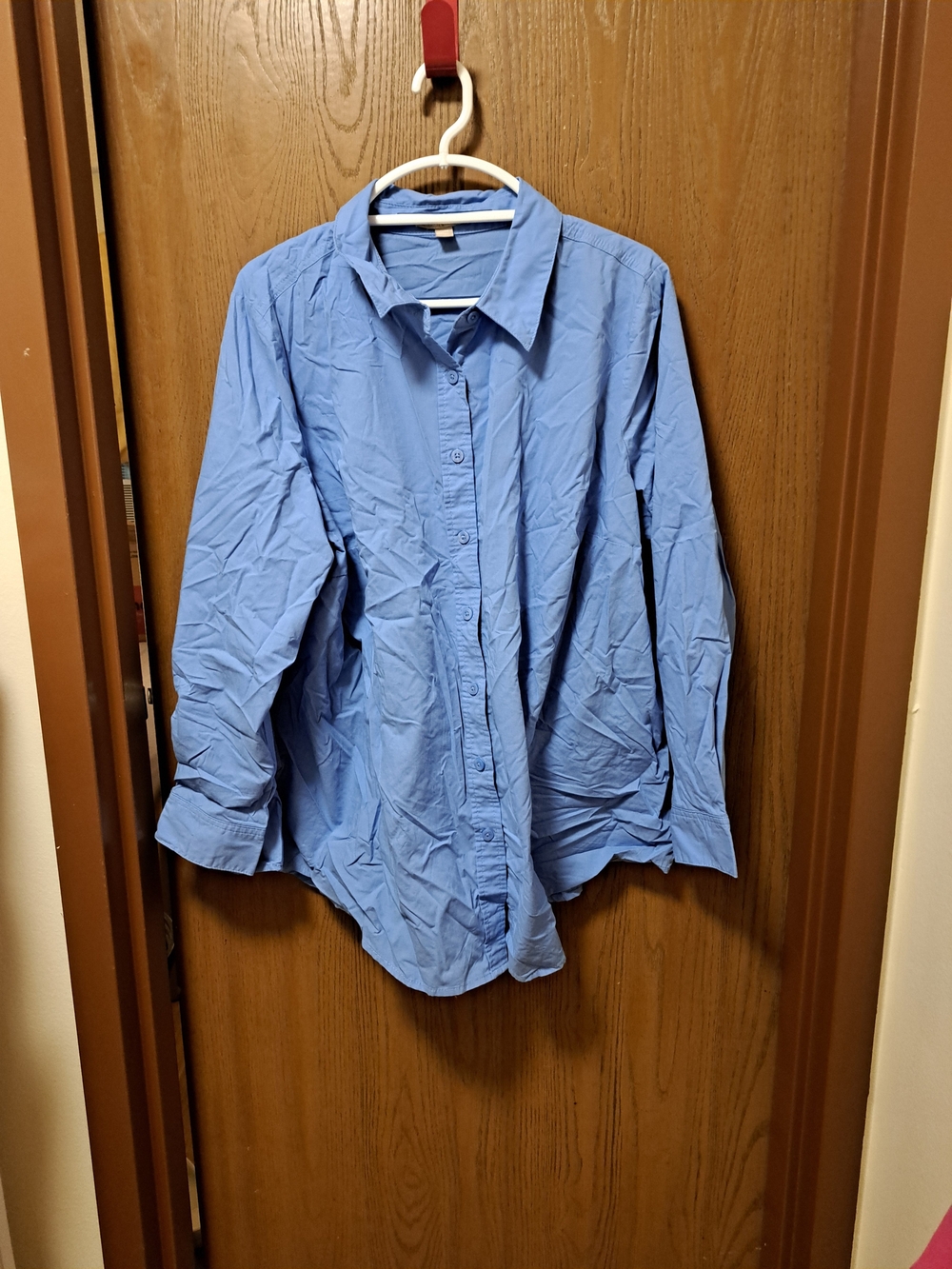 Woman Within Light Blue Button-Up Blouse